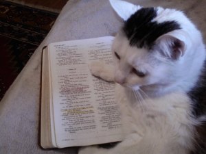 "If only this were true for me too..."  