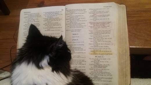 Maggie and Bible 2