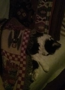 Maggie at all night prayer (2)