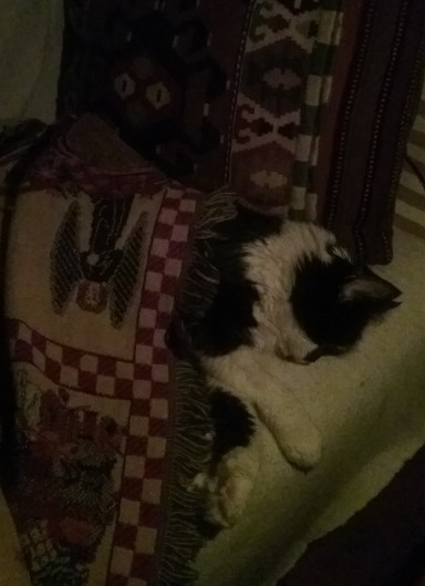 Maggie at all night prayer (2)