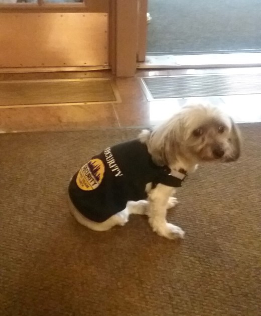 Sasha at TSC cropped