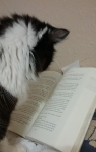 maggie reading